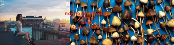 таблы Магас