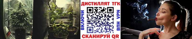 Дистиллят ТГК Wax  Купить где  Короча 