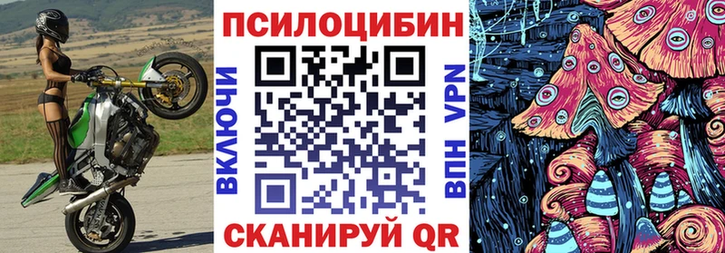 Галлюциногенные грибы MAGIC MUSHROOMS  Купить где  Короча 