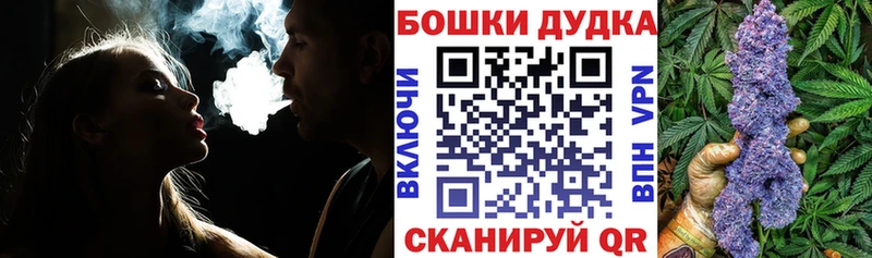 Марихуана сатива  Купить закладки  Короча 